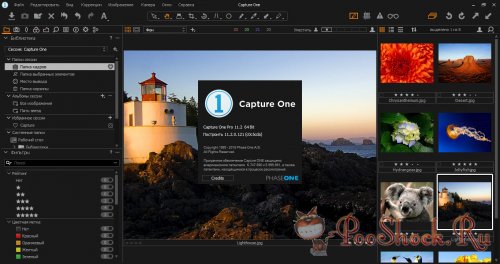 Capture One Pro 11.2.0.121