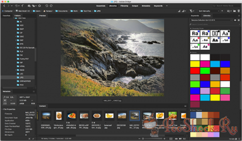 Adobe Bridge CC 2019 (9.0.0.204)