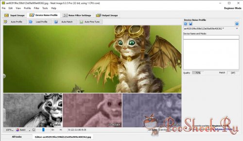 Neat Image v8.3.5 Pro Standalone (RePack)