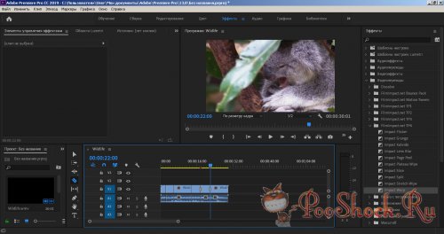 FilmImpact.net - Transition Packs Bundle Vol.1,2,3,4