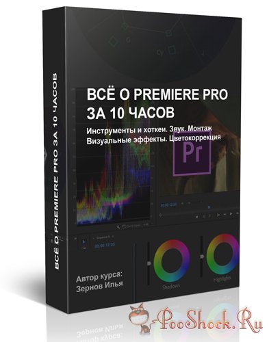 Вcё o Premiere Pro зa 10 чacoв (Видeo-Куpc)