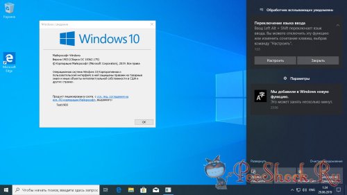 Windows 10 Business (Версия 1903) x64