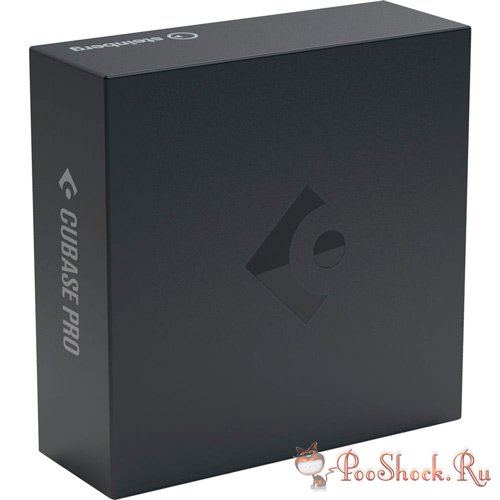 Steinberg Cubase Pro 11.0.10