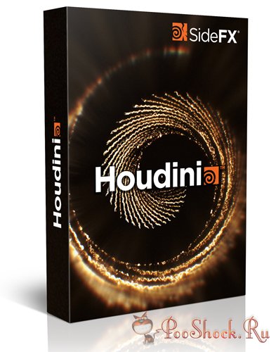 SideFX Houdini FX 19.5.435