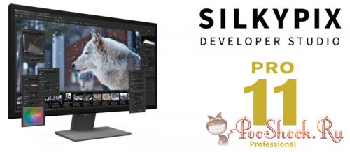 SILKYPIX Developer Studio Pro 11.0.9.0 RePack