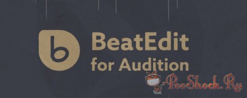 BeatEdit for Audition 2.2.0