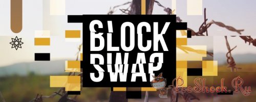 Block Swap 1.5 (for After Effects & Premiere Pro)