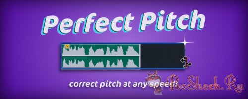 Perfect Pitch 1.0.0 (for Premiere Pro)