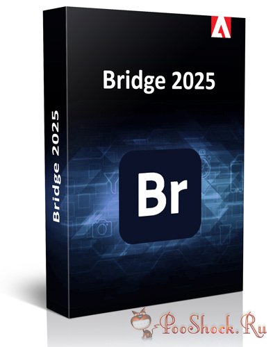 Adobe Bridge 2025 (15.0.0.397)