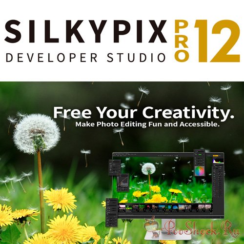 SILKYPIX Developer Studio Pro 12.0.3.0 RePack